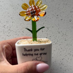 Amy added a photo of their purchase