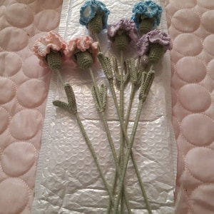 Sandra added a photo of their purchase
