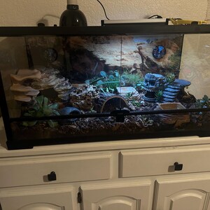 Terrarium Hintergrund 180x45 Cm - Wüstenlandschaft Mit Totem Baum & Sonne, Vinyl-Stoff, Für Reptilien & Aquarium