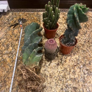 Natalie added a photo of their purchase