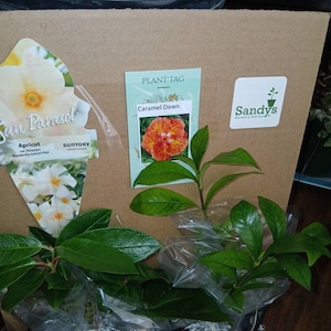 Etsy のお客さま さんが購入した商品の写真を追加しました