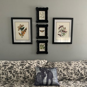 Angel added a photo of their purchase