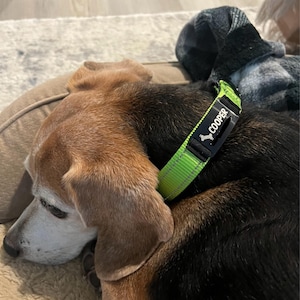 Rachel added a photo of their purchase