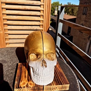 Valentin added a photo of their purchase