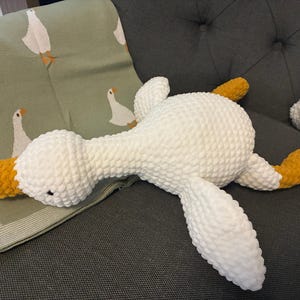 Jessie added a photo of their purchase