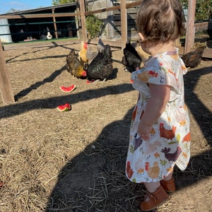 Hollow Hook Chicken Dress