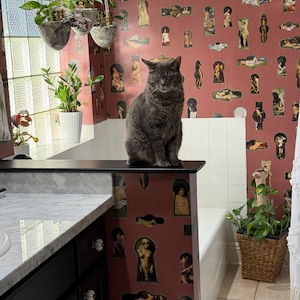 Dana added a photo of their purchase