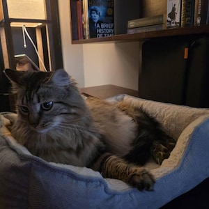 Ina added a photo of their purchase