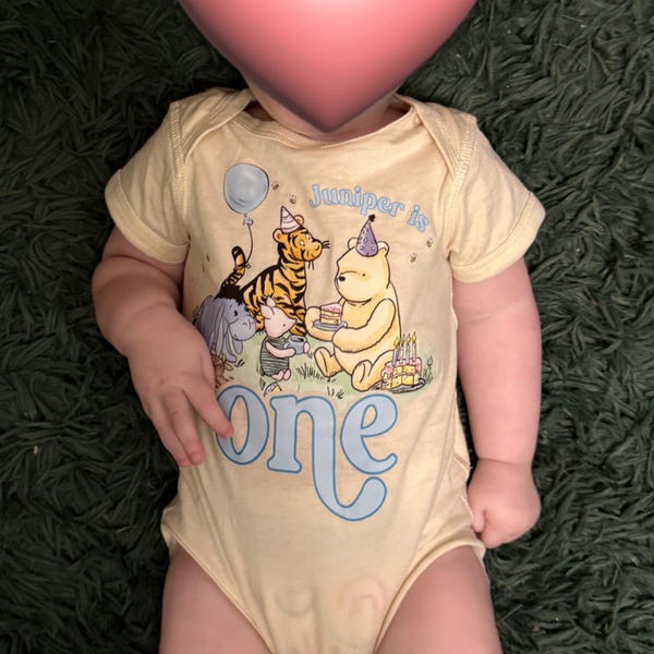 winnie-the-pooh-first-birthday-shirt-personalized-family-outfit-etsy