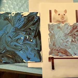 Katie ha aggiunto una foto del proprio acquisto