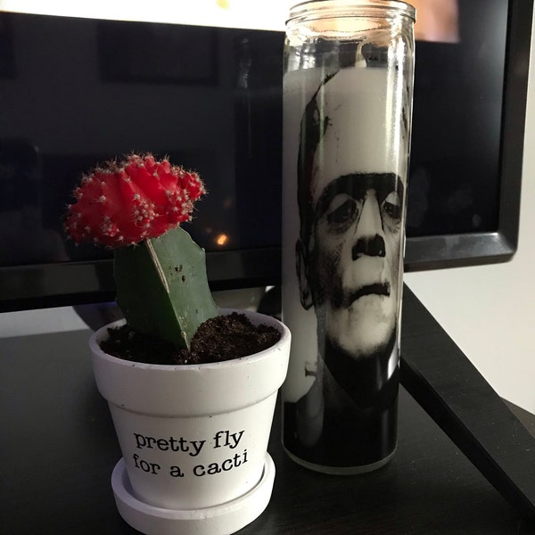 Pretty Fly for a Cacti, Cute Succulent Pot, Funny Cactus Pot, Plant Pun ...