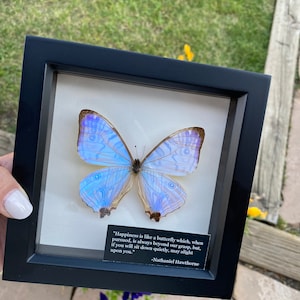 Samantha added a photo of their purchase