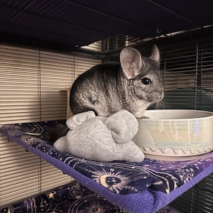 Scott added a photo of their purchase