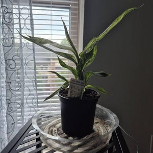 Patricia added a photo of their purchase