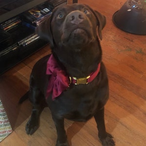Misty added a photo of their purchase