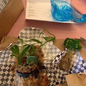 Marcelle ha añadido una foto de su compra