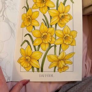 Elora added a photo of their purchase