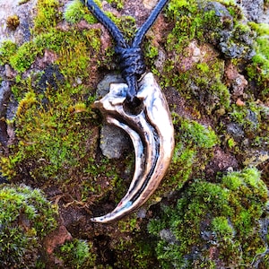 Nils added a photo of their purchase