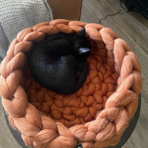 Sol added a photo of their purchase