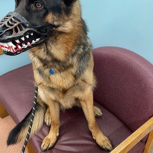 k9 muzzle with teeth