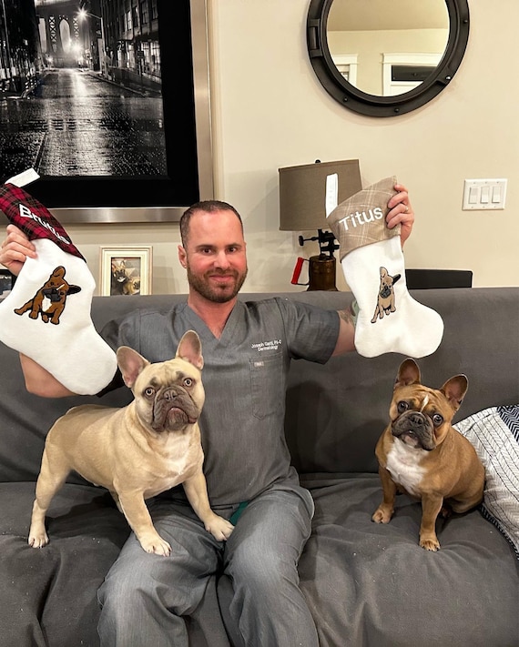 Customer photo of a pet with the French Bulldog Christmas Stocking