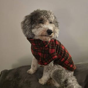 Nicola added a photo of their purchase