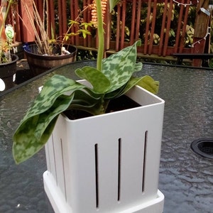 Tina added a photo of their purchase