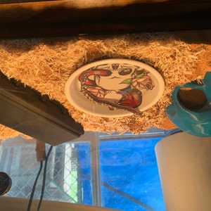 Coffin Shaped Snack Tray/dish W/lid - Etsy