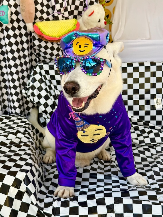 Customer photo of a pet with the Gatsby Hat