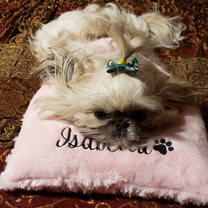 dog grooming pillow