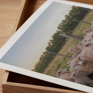 Aramburés added a photo of their purchase