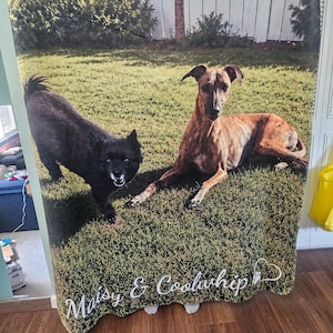 Michele added a photo of their purchase