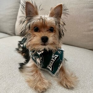 Bandana NFL Philadelphia Eagles TIE, pequeno/médio. Babador de