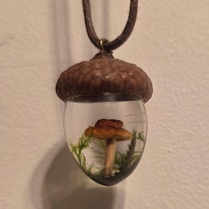 M added a photo of their purchase