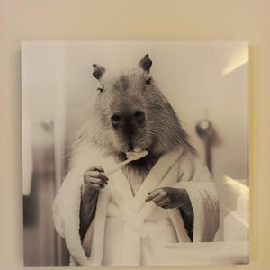 Wiebke hat ein Foto des gekauften Artikels hinzugefügt