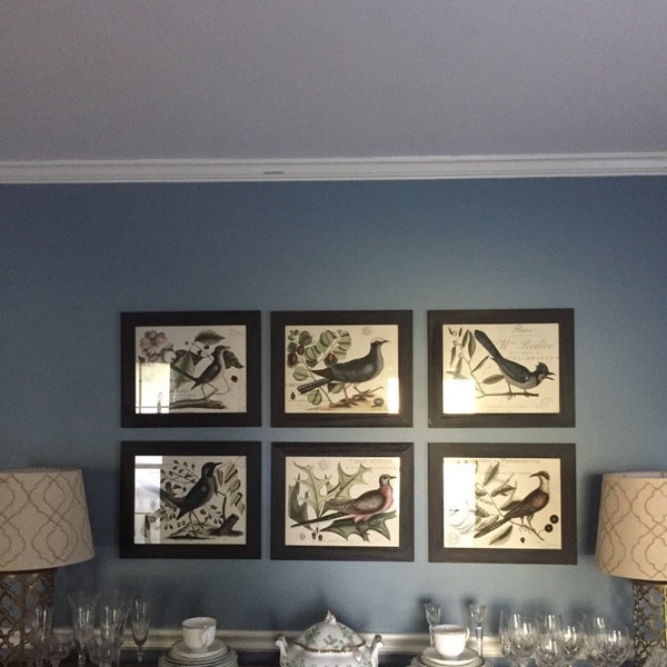 Vintage Bird and Botanical Print Set No.6, Giclee, Home Decor, Wall Art ...