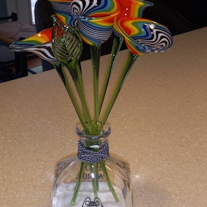Diane added a photo of their purchase
