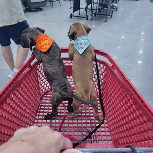 Kristen added a photo of their purchase