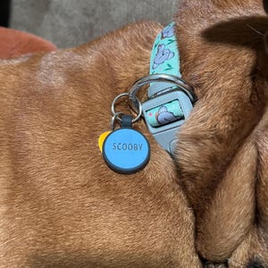 LA added a photo of their purchase
