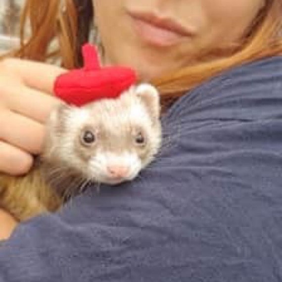 Customer photo of a pet with the Beret Personalized for small pet Raspberry