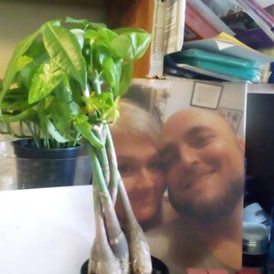 Alicia added a photo of their purchase