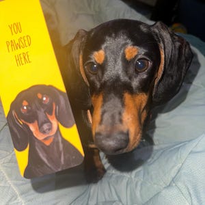 casey added a photo of their purchase