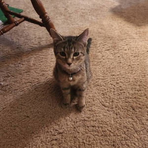 Cindy added a photo of their purchase
