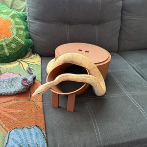 Rachael added a photo of their purchase