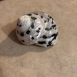 Jasmine added a photo of their purchase