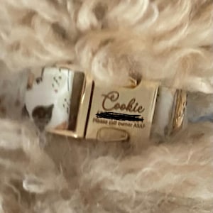 Stephanie added a photo of their purchase