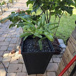 Olga added a photo of their purchase
