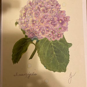 Dee added a photo of their purchase