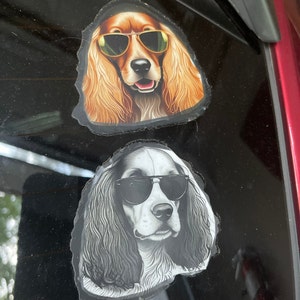 Diane added a photo of their purchase