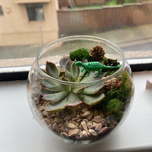 Rudy added a photo of their purchase
